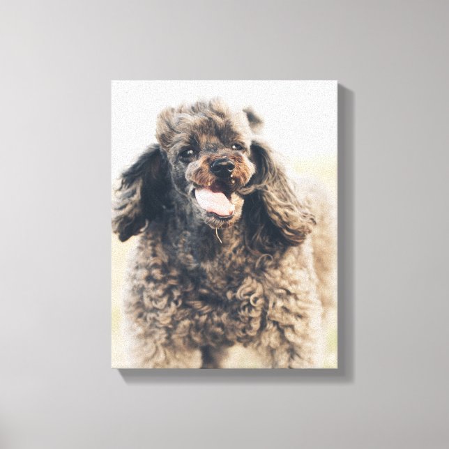 Toile Doux Poodle Chien Visage Sourire souriant (Recto)