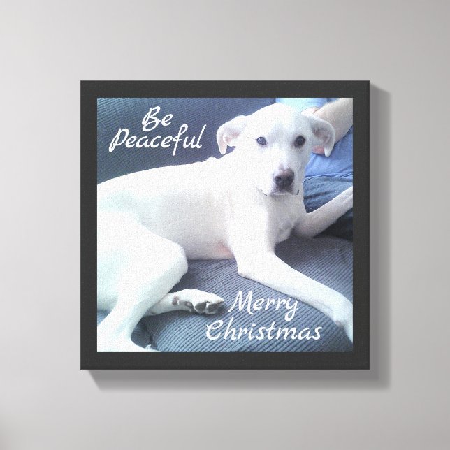 Toile Doux Tranquille Chien blanc mou assis avec papa Ca (Recto)