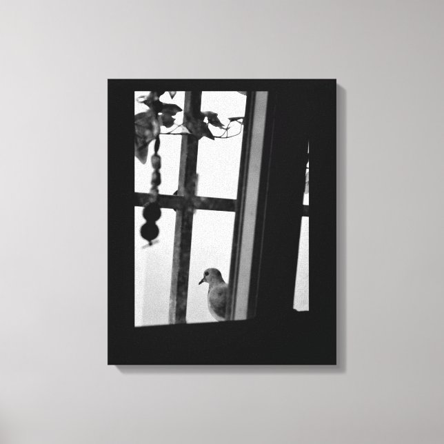 Toile Dove Daydream (Recto)