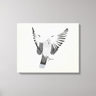 Toile Dove en deuil