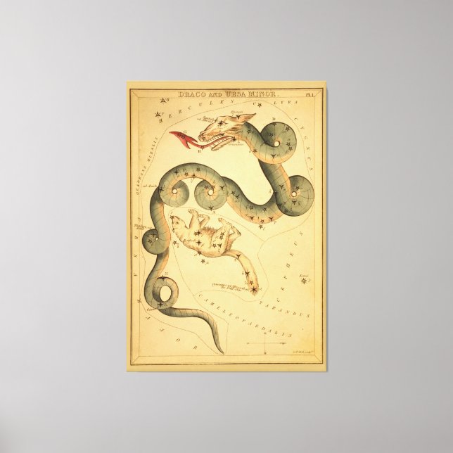 Toile Draco le Dragon - Carte astronomique Vintage (Recto)