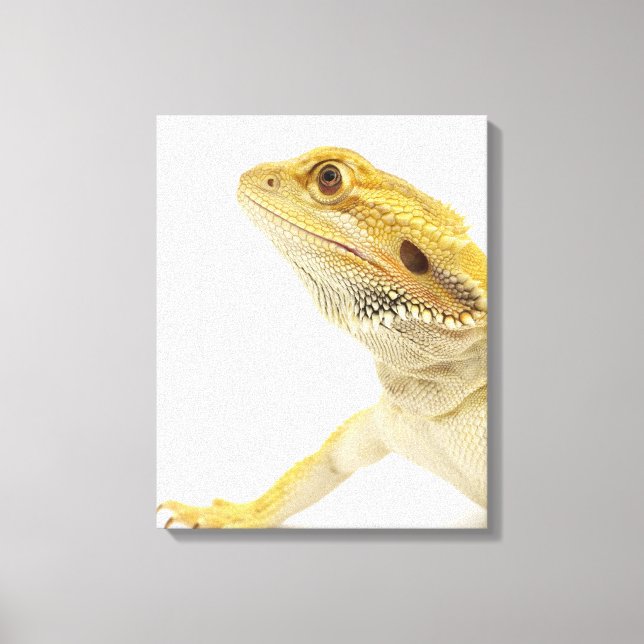 Toile Dragon à oreilles (Pogona Vitticeps) (Recto)