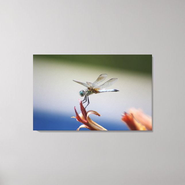 Toile Dragonfly Close Photo Wall Art (Recto)
