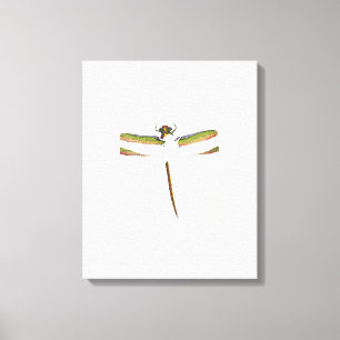 Toile Dragonfly miniature sur Arrière - plan blanc