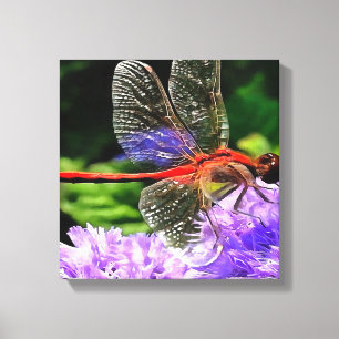 Toile Dragonfly rouge sur Violet Violet Fleurs