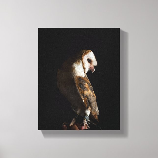 Toile Dramatic Barn Owl Portrait in the Dark (Recto)