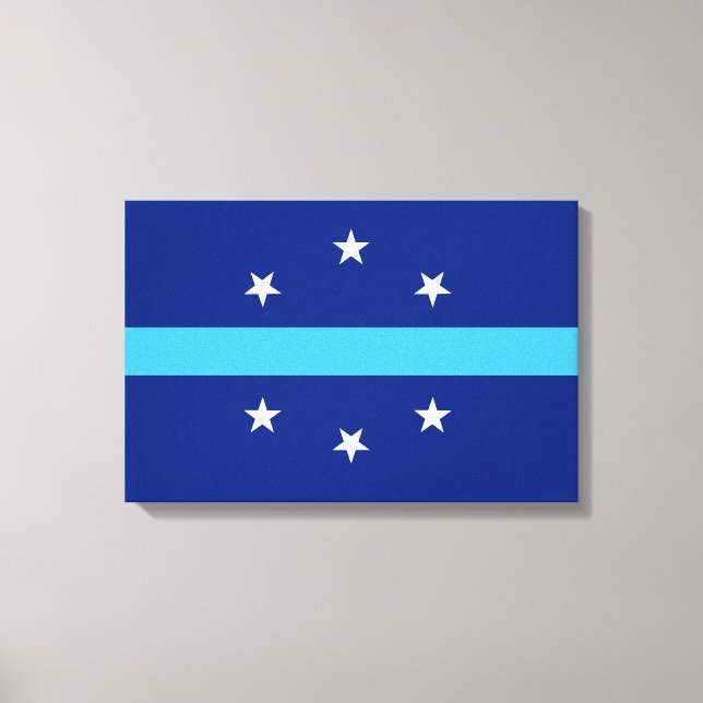 Toile Drapeau d'Anaheim (Californie, USA) (Recto)