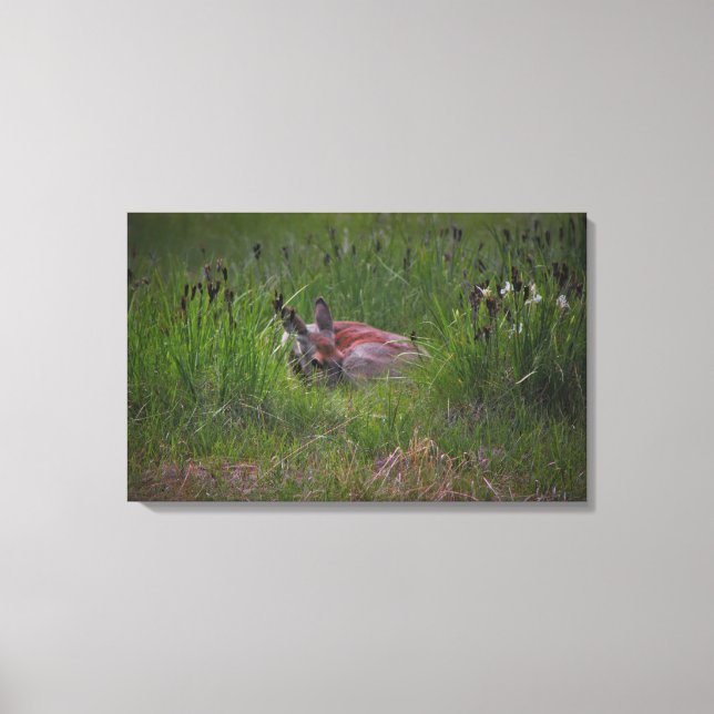 Toile Dreamland (Recto)