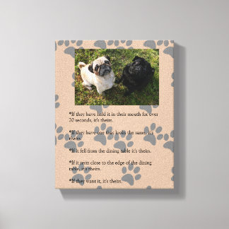 Toile Drôles lois PUG de possession