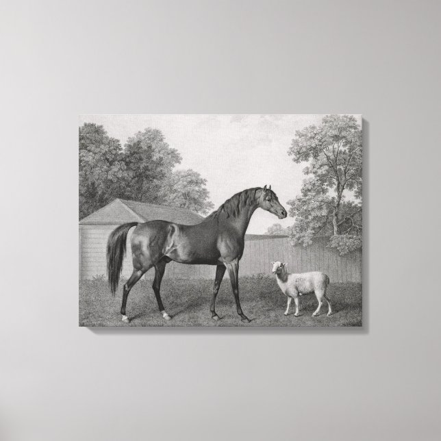 Toile Dungannon, gravée par George Townley Stubbs (1756) (Recto)