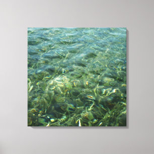 Toile Eau au-dessus de la mer Herbe I Caraïbes Nature