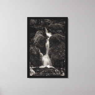 Toile Eau sur la mousse