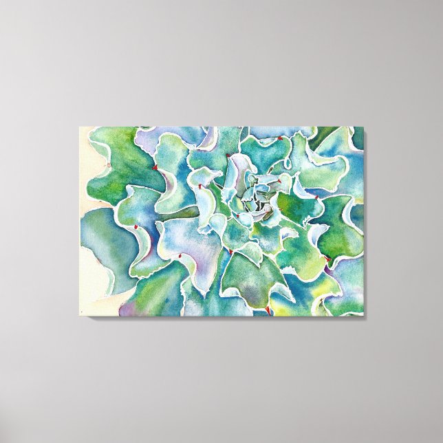 Toile Echeveria 'Blue Frills' (Recto)