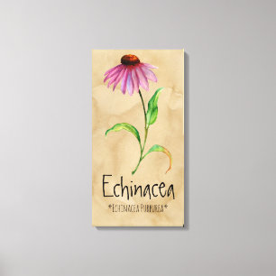 Toile Echinacea Plante magique 13,22' x 25,52''