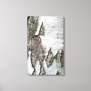 Toile Écorce de bouleau