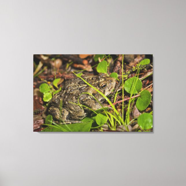 Toile edmonton, alberta, canada (Recto)