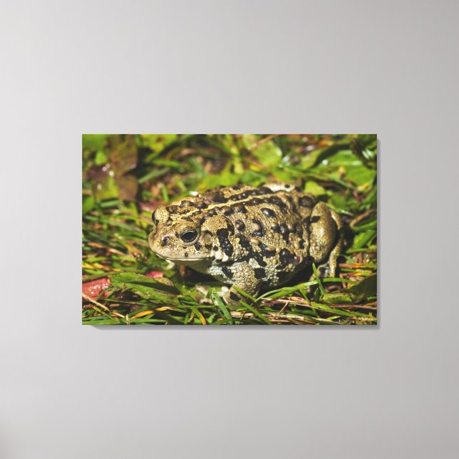 Toile edmonton, alberta, canada 2 (Recto)