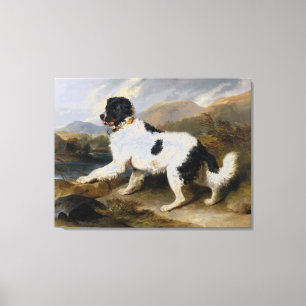 Toile Edwin Henry Landseer Lion A Newfoundland Dog