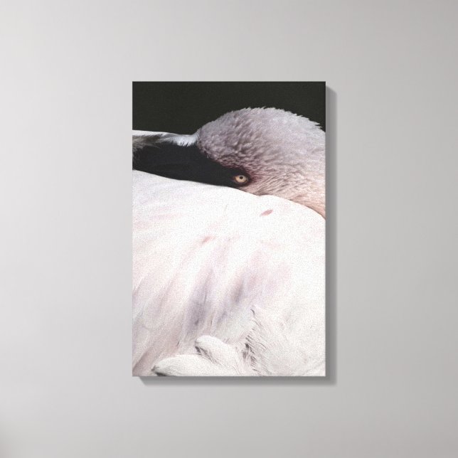 Toile Effet de dessin de portrait de flamant rose Art (Recto)