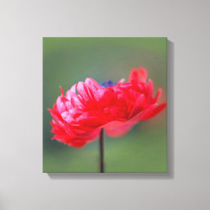 Toile Effet de peinture de fleur rouge près