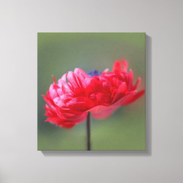 Toile Effet de peinture de fleur rouge près (Recto)