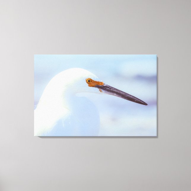 Toile Egret neigeux (Recto)