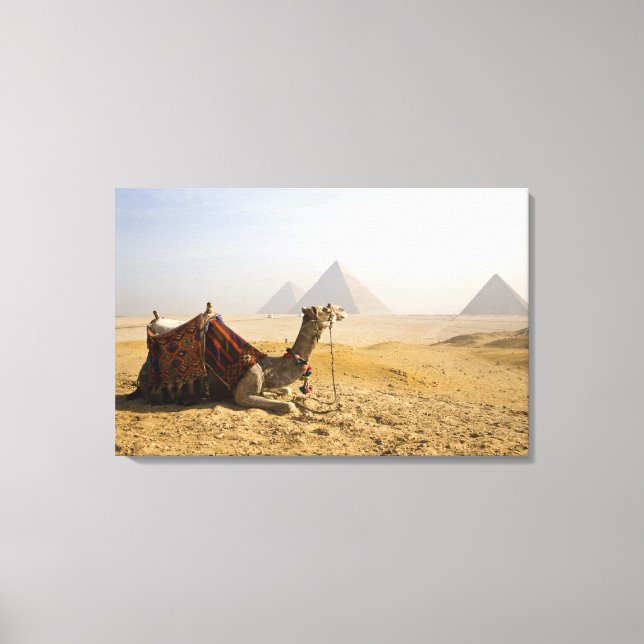 Toile Égypte, Le Caire. Un chameau solitaire (Recto)