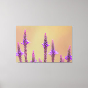 Toile Einfach zum Träumen...