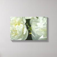 Elégant blanc peony floral blanc photo