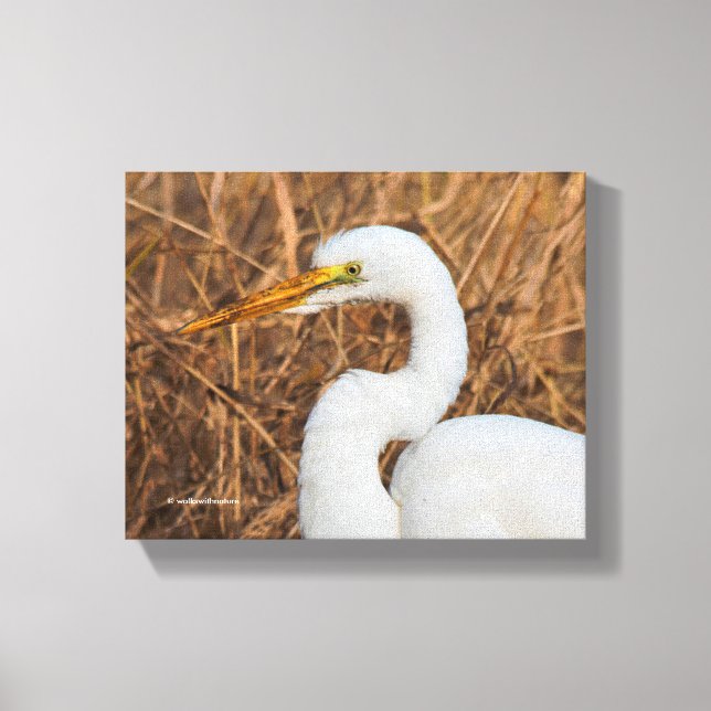 Toile Elegant Great Egret in the Reeds (Recto)