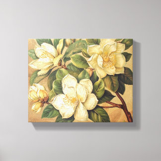 Toile Elegant Magnolia Blossoms Wall Art