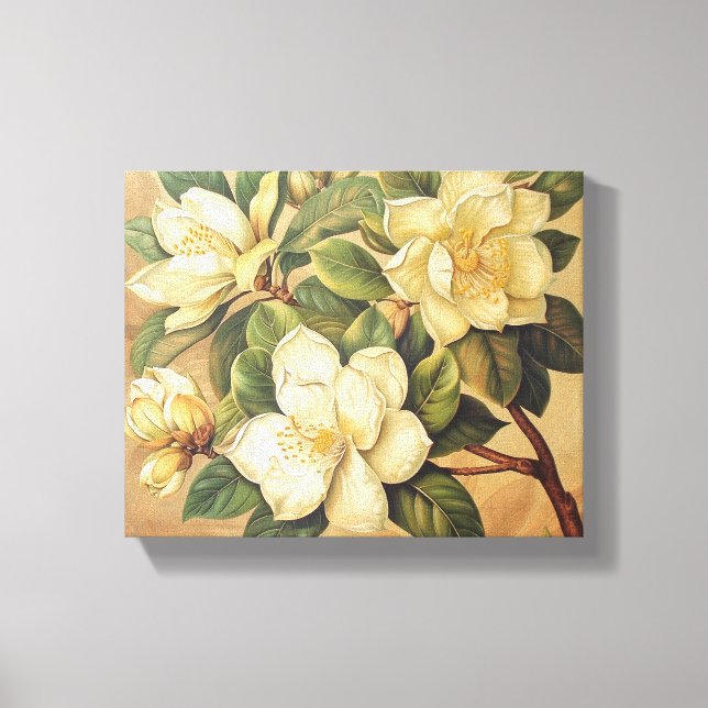 Toile Elegant Magnolia Blossoms Wall Art (Recto)