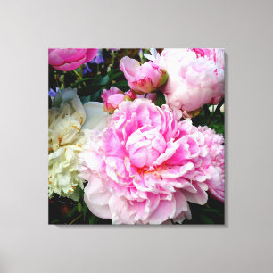 Toile Elégant rose peony blanc floral jardin photo