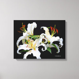 Toile Elégante Casablanca White Oriental Lilies