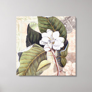 Toile Élégante Magnolia blanche Vintage
