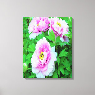 Toile Élégante pivoine d'arbre rose avec centre jaune