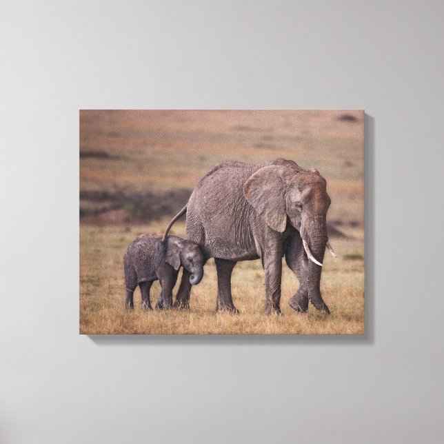 Toile Éléphant d'Afrique avec bébé (Recto)