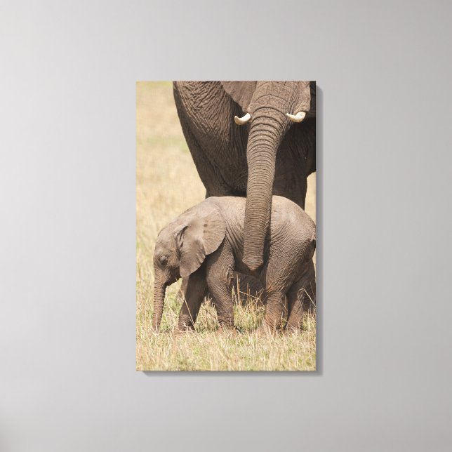 Toile Éléphant d'Afrique bébé avec sa mère (Recto)