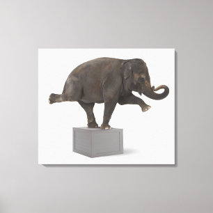 Toile Éléphant exécutant le tour sur la boîte