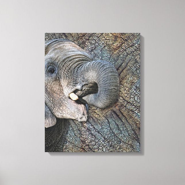 Toile Eléphant gris exotique en cuir Camouflage animal (Recto)