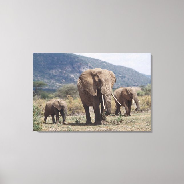 Toile Éléphant mère marchant avec un éléphant jeune (Recto)