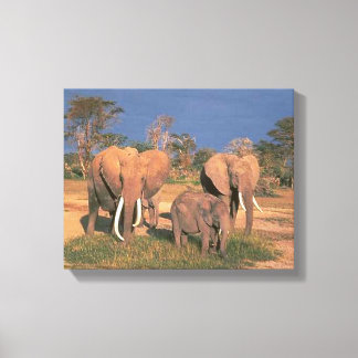 Toile Eléphants