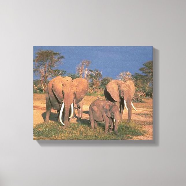 Toile Eléphants (Recto)