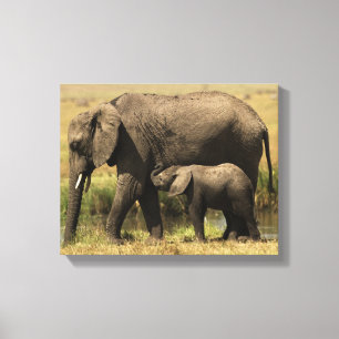 Toile Éléphants africains
