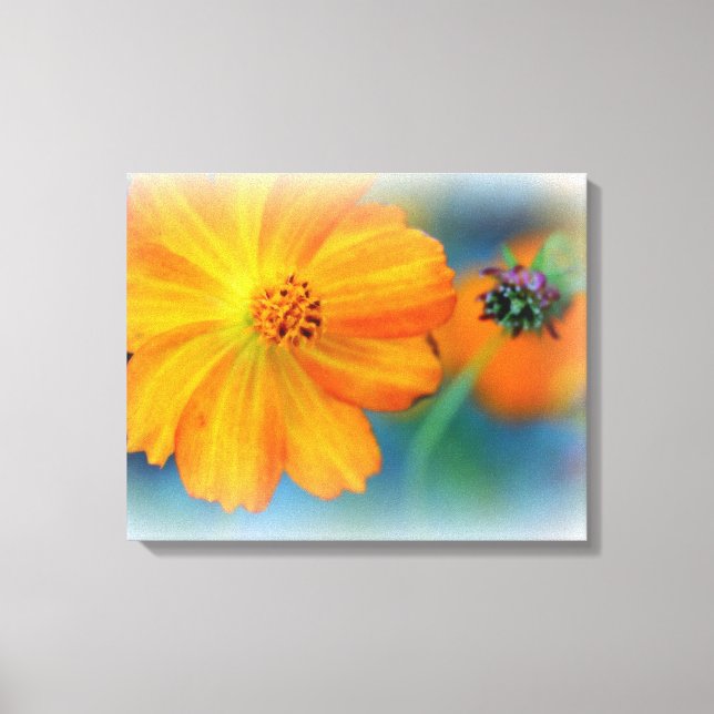 Toile Emballée Premium (Gloss) Fleurs (Recto)