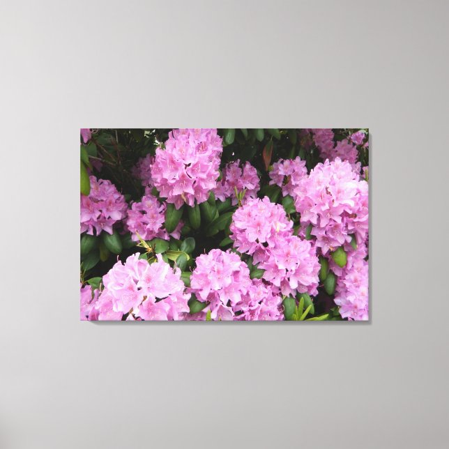 Toile Emballée Rhododendrons Rose (Recto)