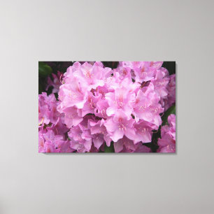 Toile Emballée Rhododendrons Rose
