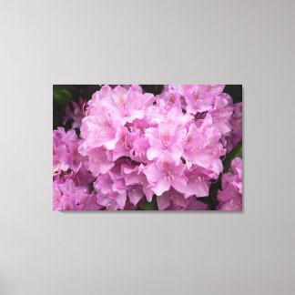 Toile Emballée Rhododendrons Rose