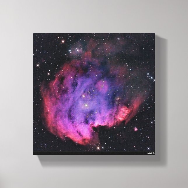 Toile embouteillée Premium (brillant) (Recto)