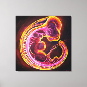 Toile Embryo